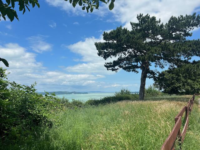 Balatonföldváron