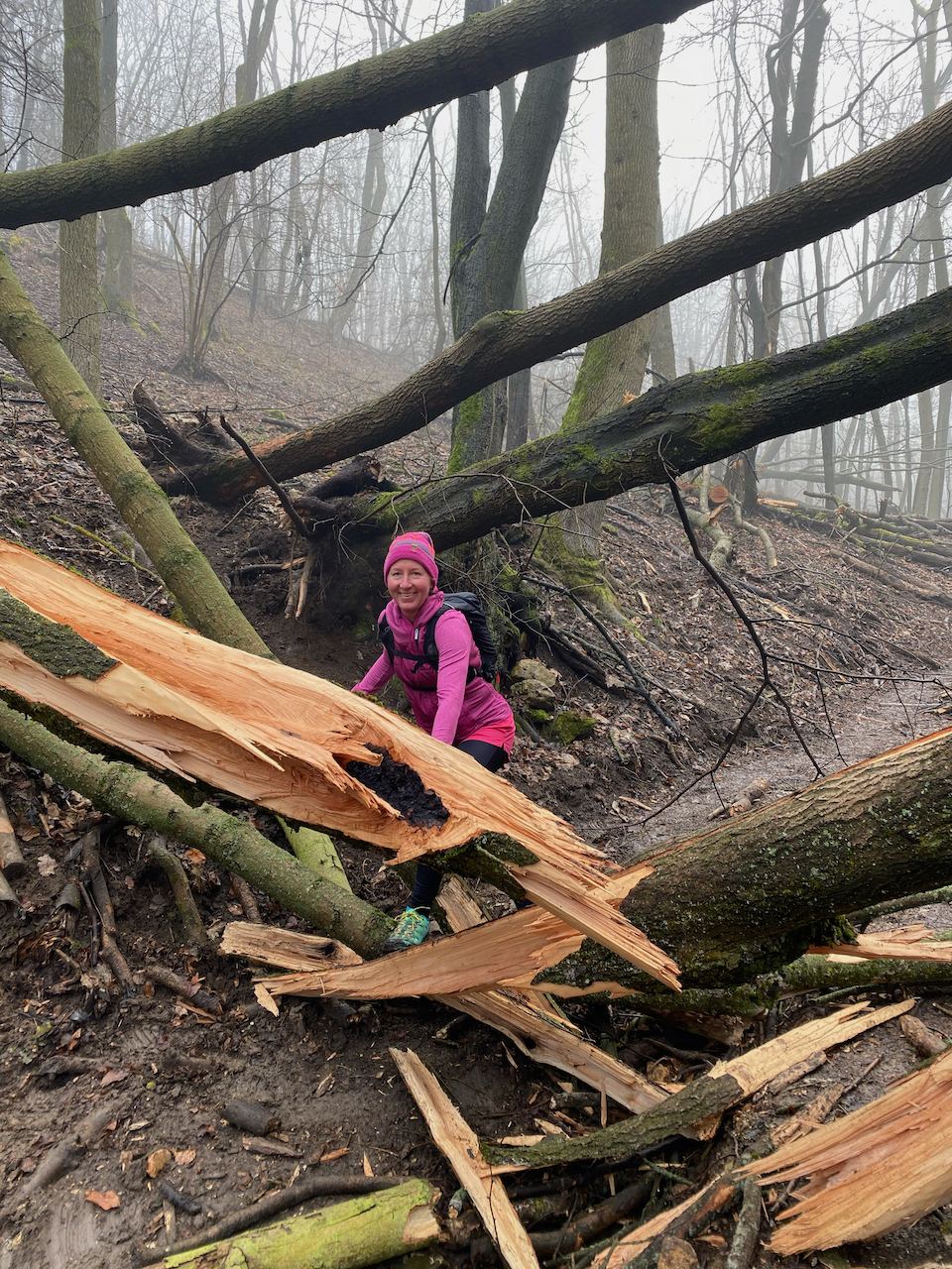 Spartan