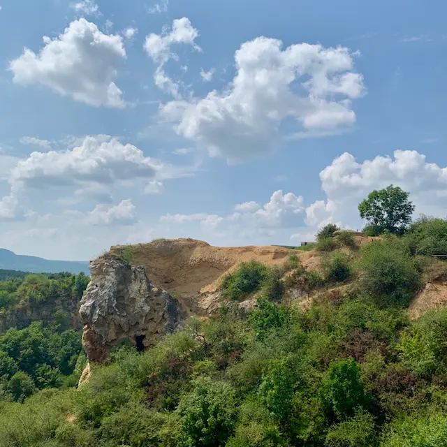 Rókás kör 1