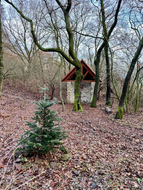 Bükkös kör #1 2019. december