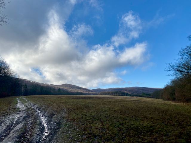 Bükkös kör #1 2019. december