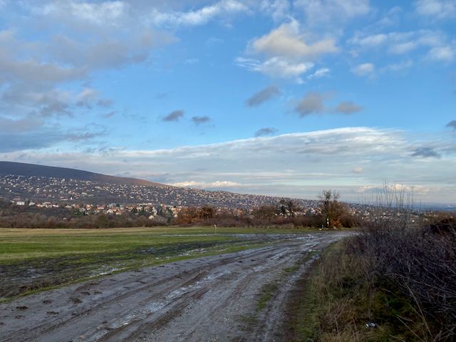 A sárga úton Szentendre feléFotó: Balatoni Bernadett