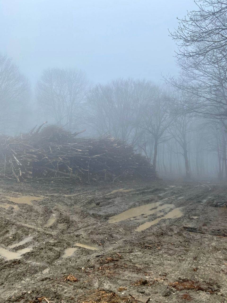 Sáros, ködös, hívogató Mordor