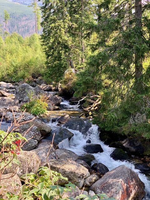 A Poprádi-tóhoz vezető út kezdeténFotó: Balatoni Bernadett
