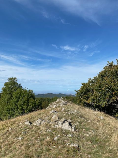 Hangyás-bérc
