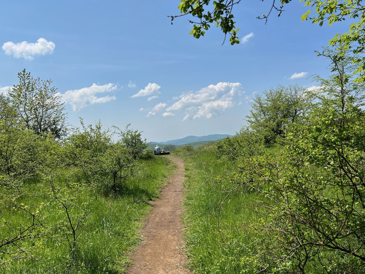 Piszkés-tető
