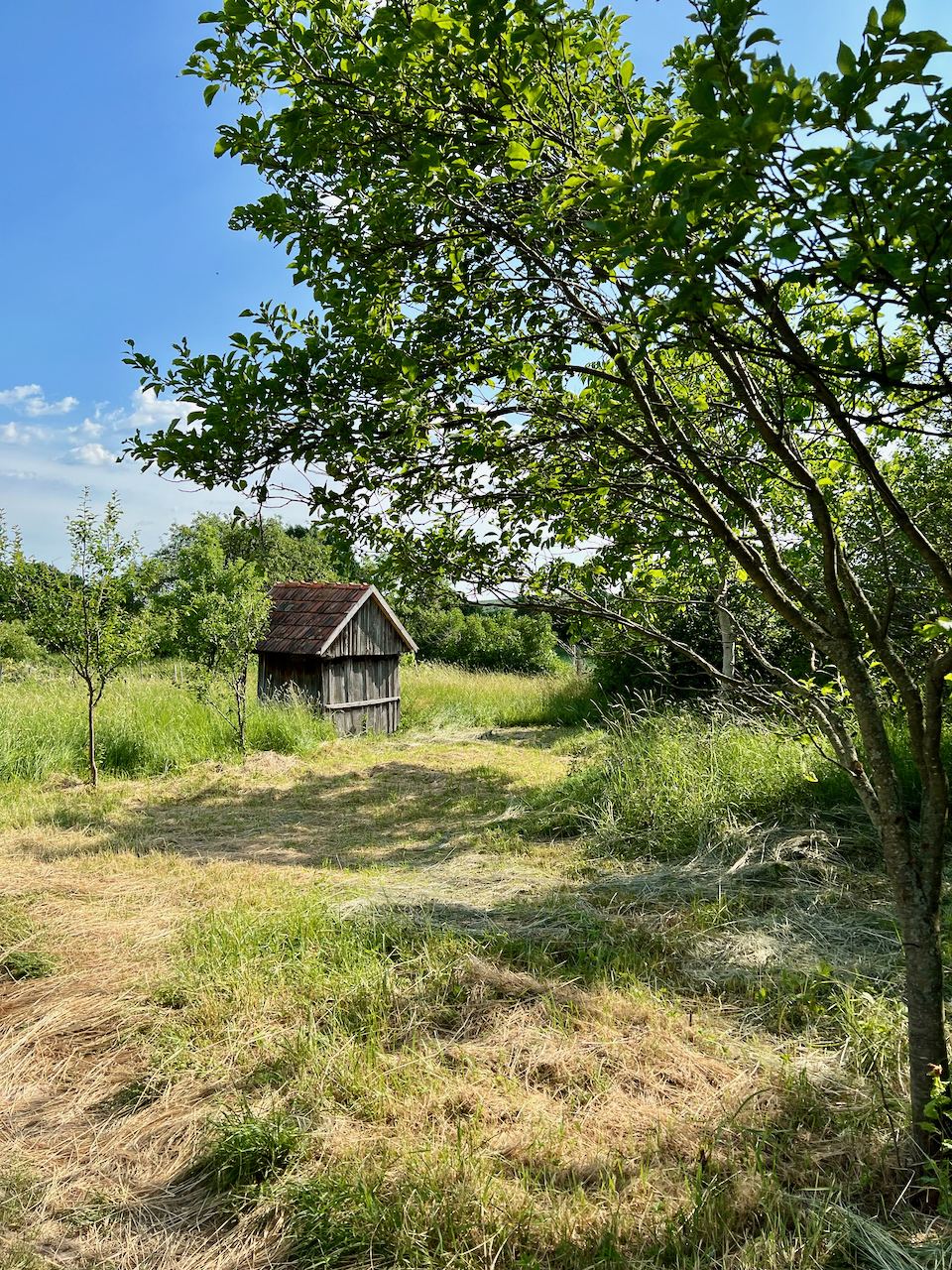 Cserépfalu határában