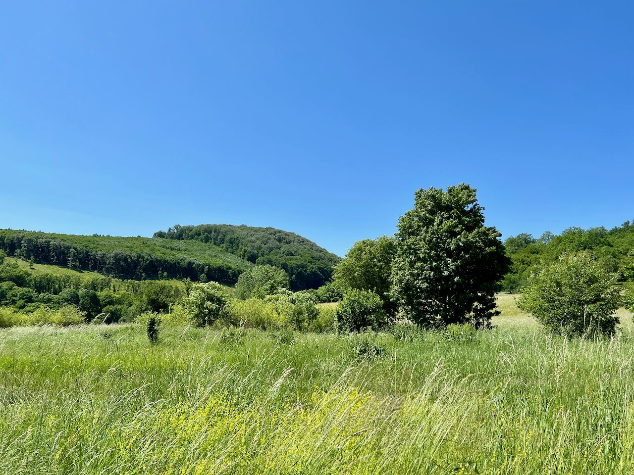 Tebe-rét