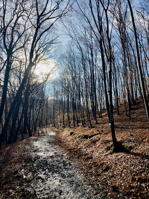 Bükkös kör #1 2019. december