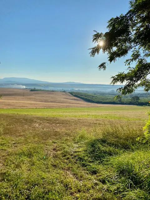 Vadrózsa 30 TT 2020. szeptember -