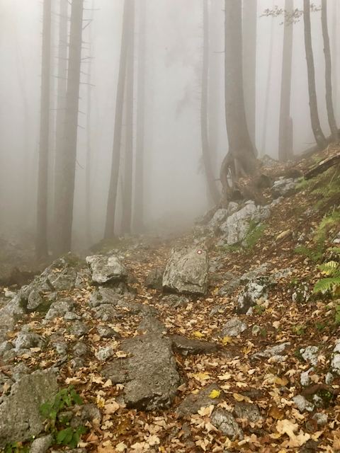 Úton a Hét Tó völgyében