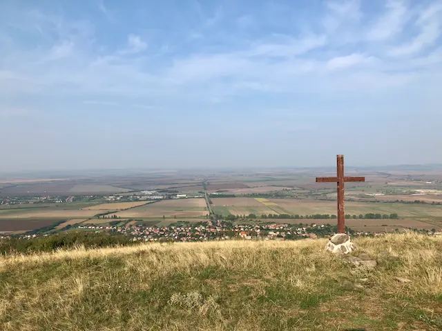 Vadrózsa TT 2018.