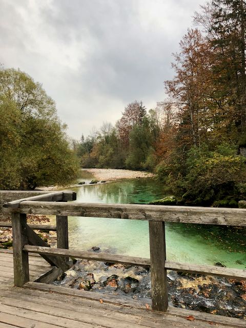 UkancFotó: Balatoni Bernadett