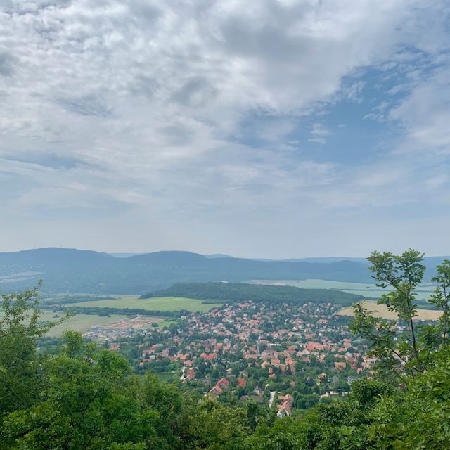 Rókás kör #1