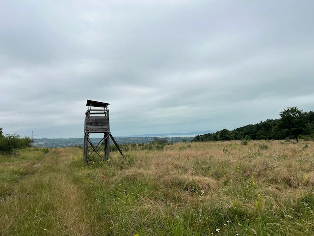 Kilátás a Balatonra