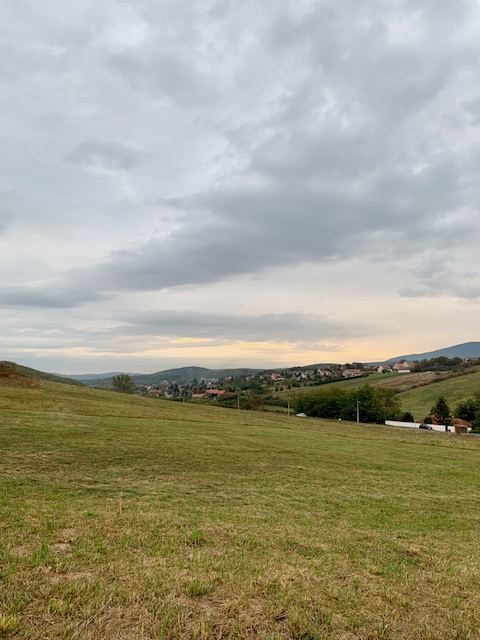 Jó reggelt Nőtincs!Fotó: Balatoni Bernadett
