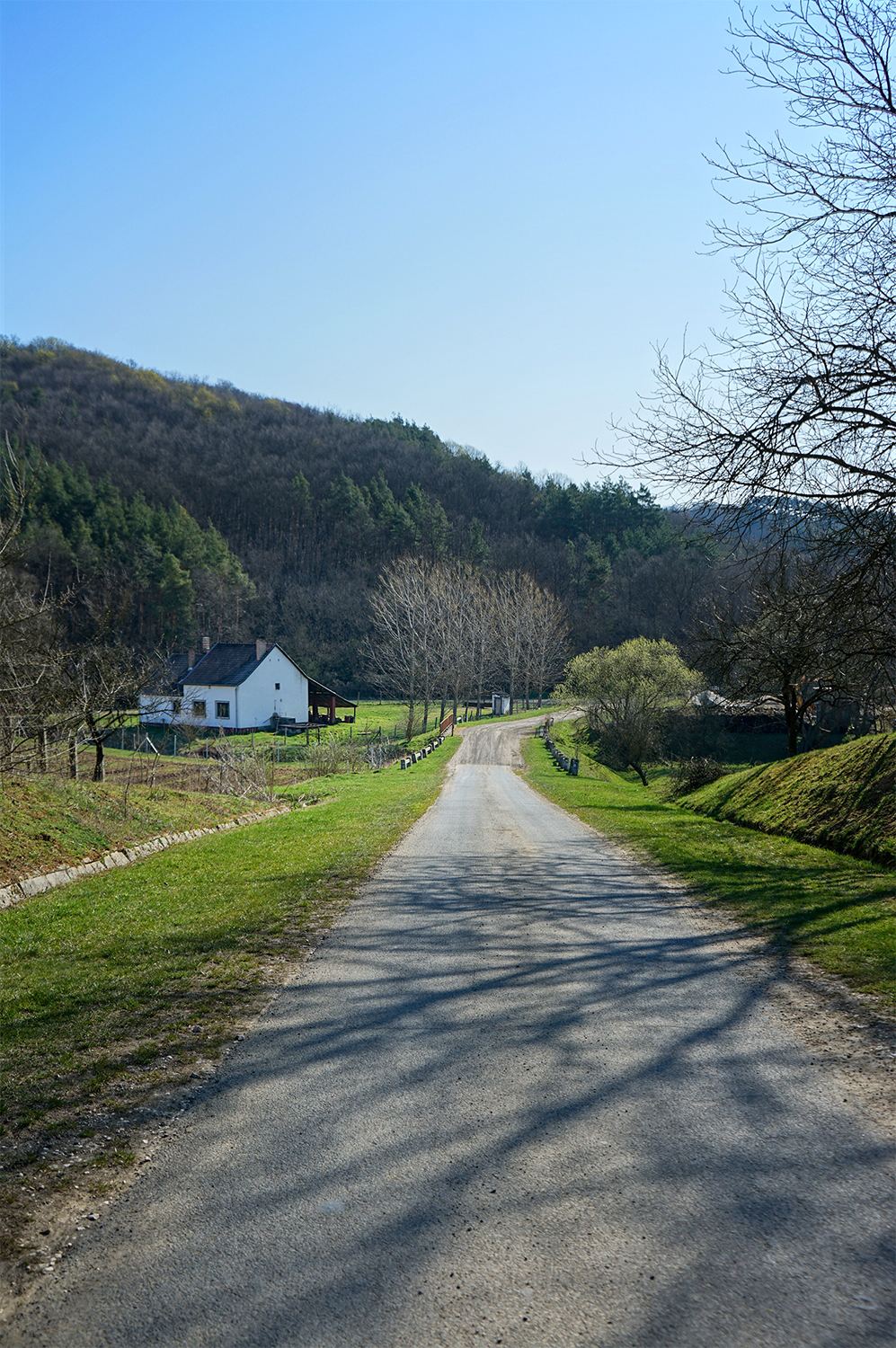 Viszlát, Kétbodony