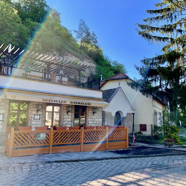 Mókus söröző reggeli fénybenFotó: Balatoni Bernadett
