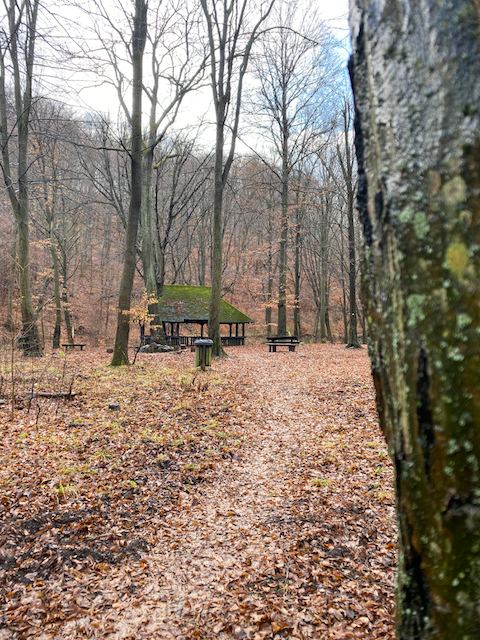 Bükkös kör #1 2019. december