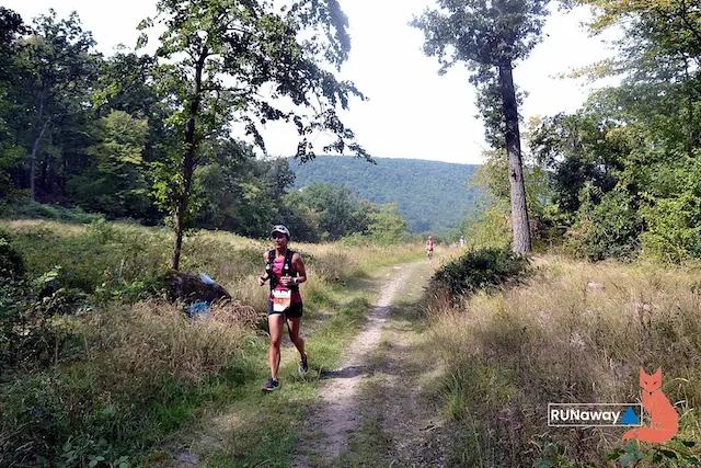 Garmin WTF Szentendre 2020 -