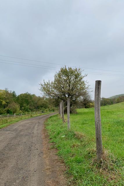 Úton a Bánki Pálinkaház feléFotó: Balatoni Bernadett