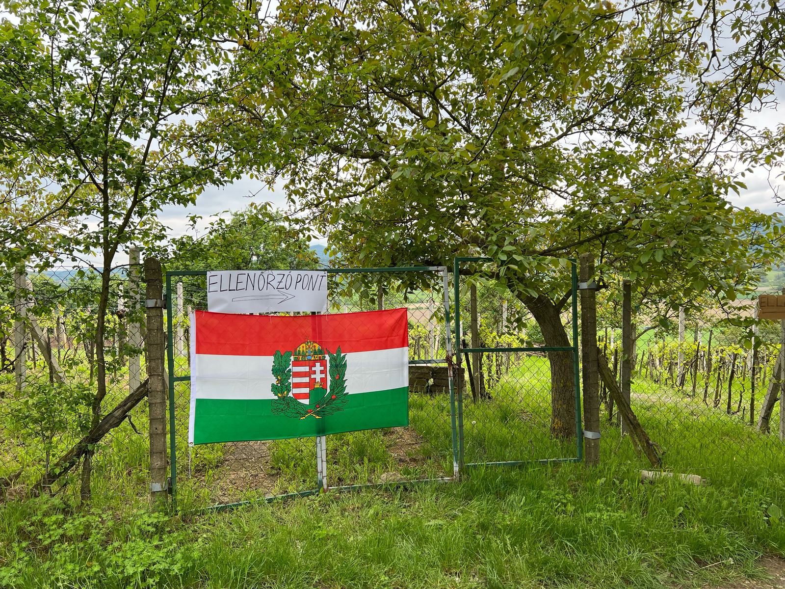 Útjelző