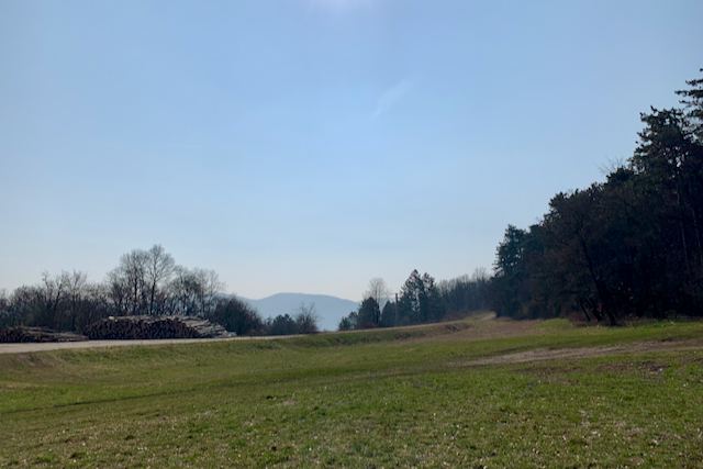 KövesmezőFotó: Balatoni Bernadett