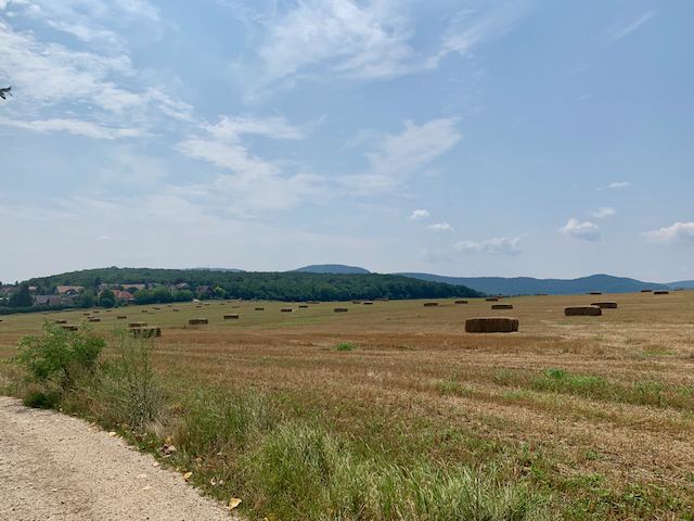 Rókás kör #1