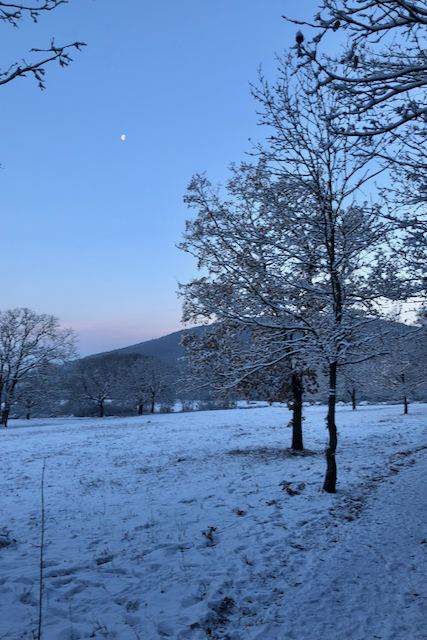 Reggel a HaluskásonFotó: Balatoni Bernadett