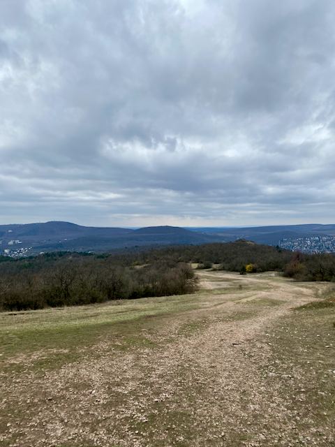 Kilátás a Hármashatár-hegyrőlFotó: Balatoni Bernadett