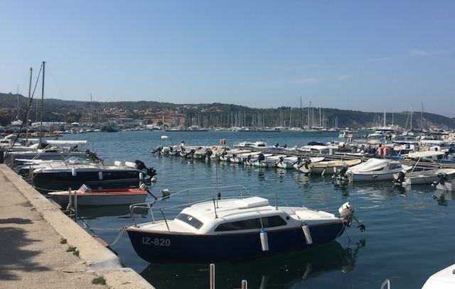 IzolaFotó: Balatoni Bernadett