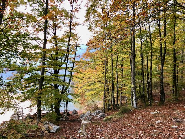 A Bohinj-tó körülFotó: Balatoni Bernadett