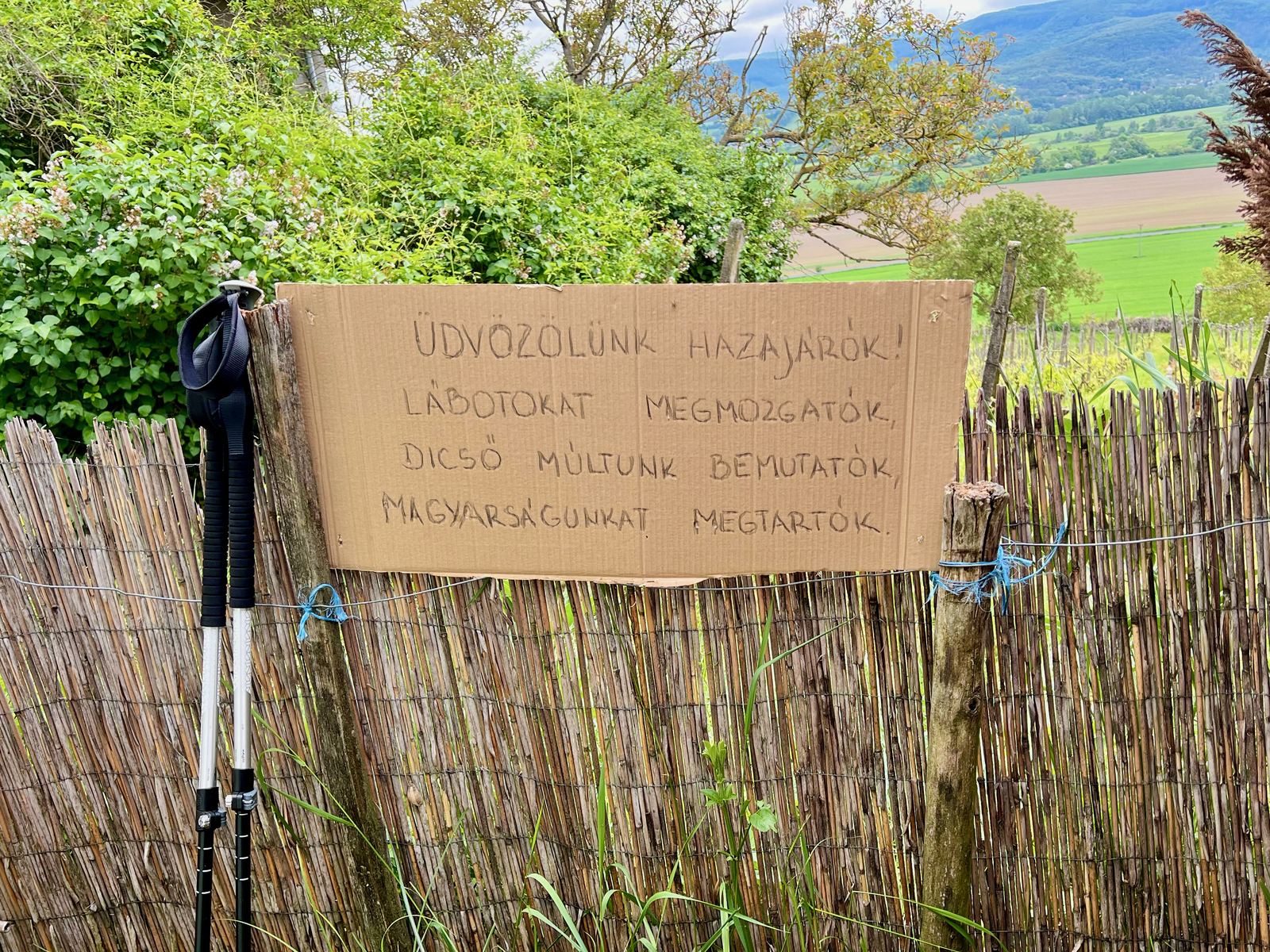 Üdvözlet